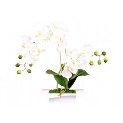 Umělá orchidej v misce 14 květů, 45 cm, bílá
