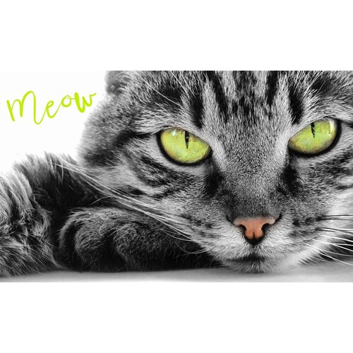 Ručník Kocourek Oskar, 30 x 50 cm