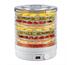 Deshidrator electric de fructe Concept SO1020