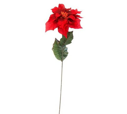 Vianočná hviezda Poinsettia, červená