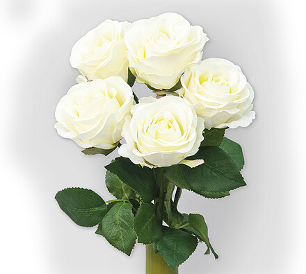 Umělá květina růže bílá sada 5 ks