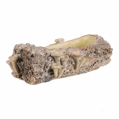 Ambalaj din beton - ghiveci, lemn cu ciuperci, 36 x 18 x 13 cm, maro