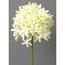 Umělá květina Česnek krémová, 64 cm