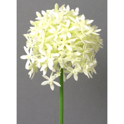 Umelá kvetina Cesnak krémová, 64 cm
