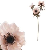 Umetna cvetlica Anemónka krem, 3 cvetovi, 56 x 17cm