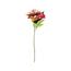 Floare artificială Dahlia roz-galbenă, 68 cm