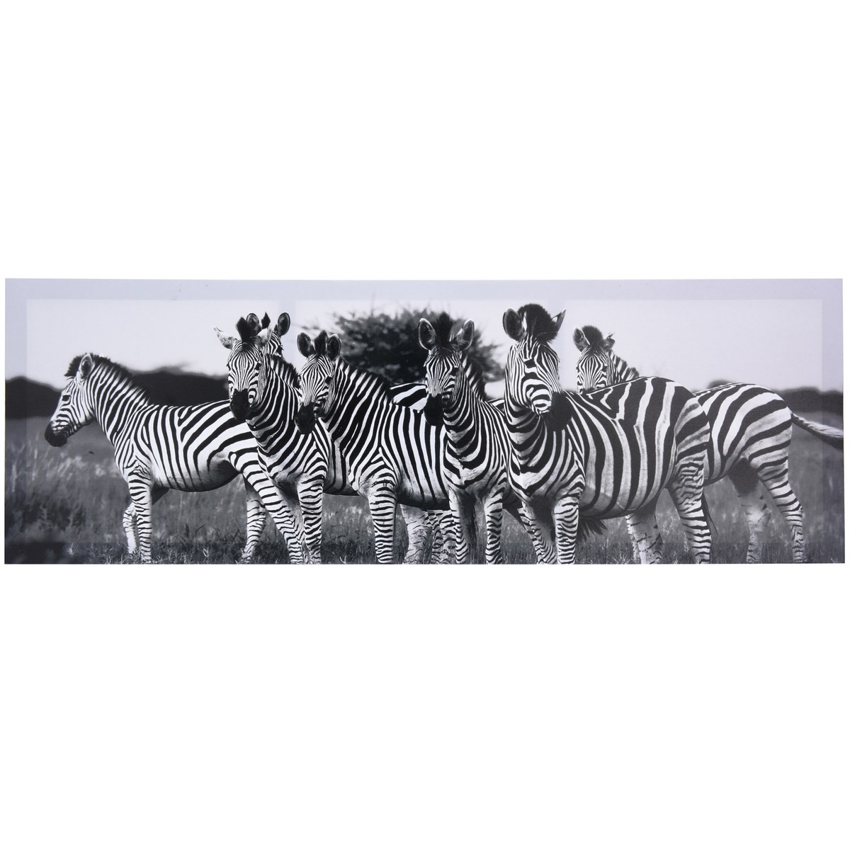 Obraz Zebra 30 x 90 cm