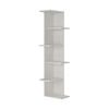 Biblioteca Saso White