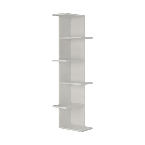 Knihovna Saso White