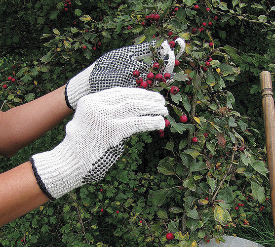 Záhradné rukavice