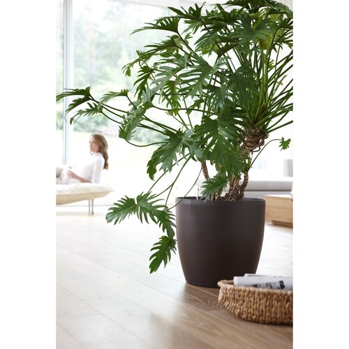 Emsa doniczka samopodlewająca Casa Matt brązowa 4340 cm