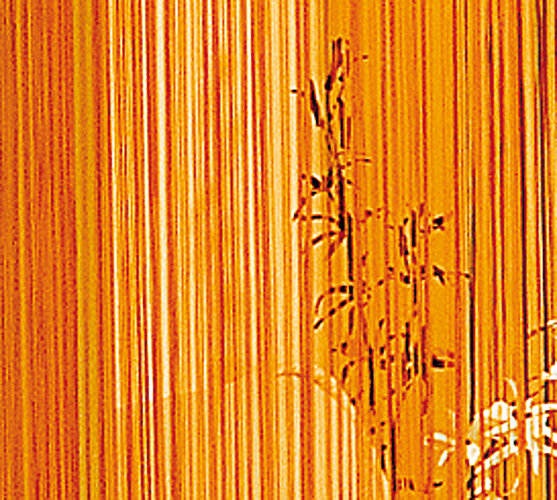 Provázková záclona Aga, oranžová, 150 x 250 cm