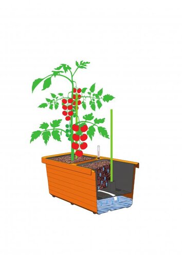 Selbstbewässernder Blumenkasten Berberis DUO, Terrakotta