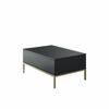 Couchtisch Lord Anthracite and Gold