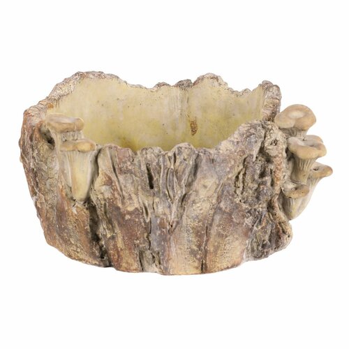 Beton burkolat - tusk with mushrooms, 26 x 24 x 14cm