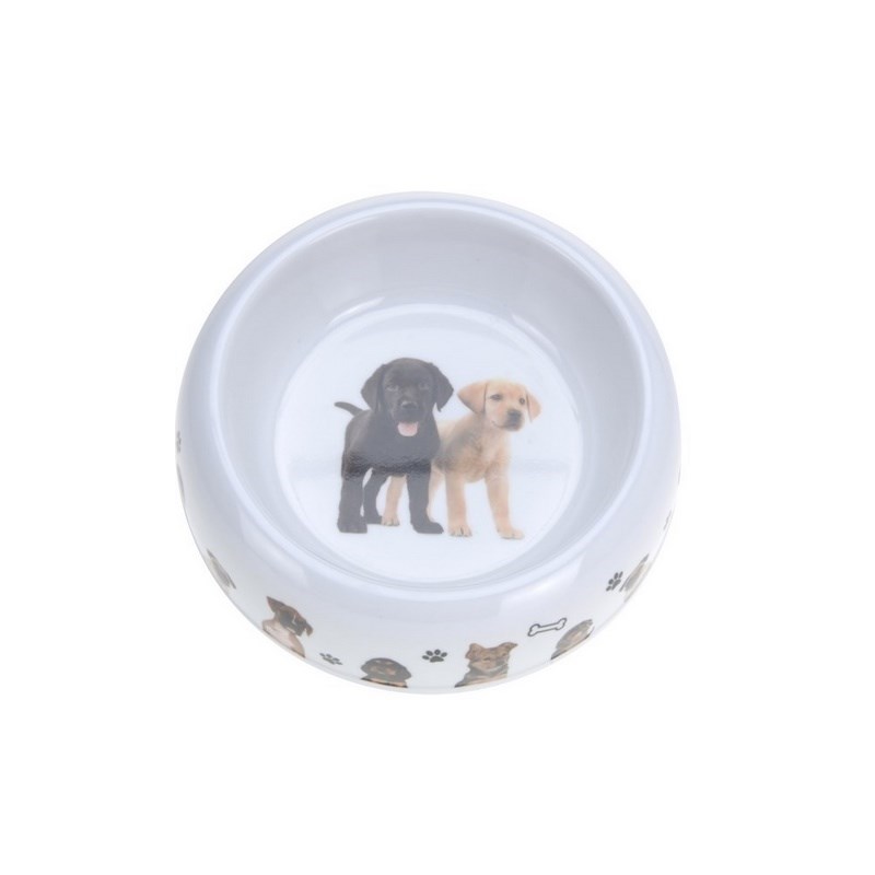 Miska pre psa Dogs, biela