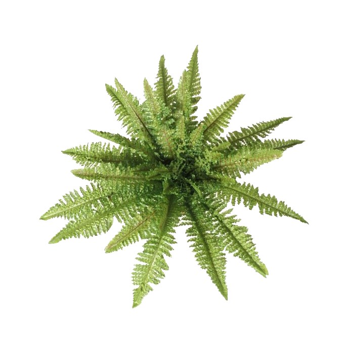 Umelé Papradie, pr. 70 cm