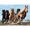 Trefl Puzzle Galoppierende Pferde, 1000 Teile