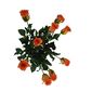 Sztuczny kwiat pączkowy Rose pomarańczowy, 64 cm,9 szt.