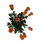 Umelá kvetina púčik Ruža oranžová, 64 cm, ​9 ks