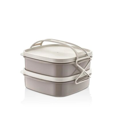 QLUX Пластиковий контейнер для їжі 2х1 л, мікс кольорів