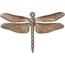 Decorațiune metalică de perete Dragonfly, 49 x 33x 2 cm, model II