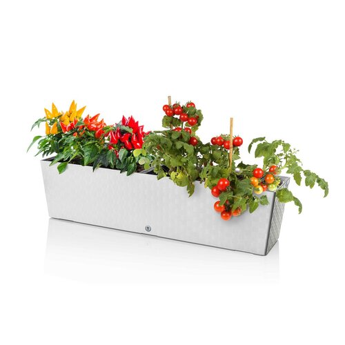 Flower Lover Samozavlažovací truhlík Supreme bela,75 cm
