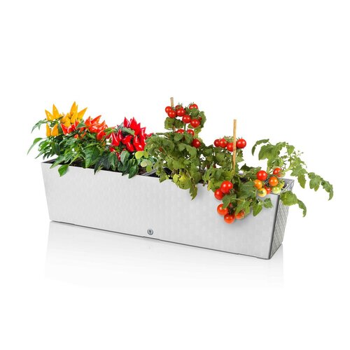 Flower Lover Selbstbewässernder Blumenkasten Supreme Weiß, 75 cm