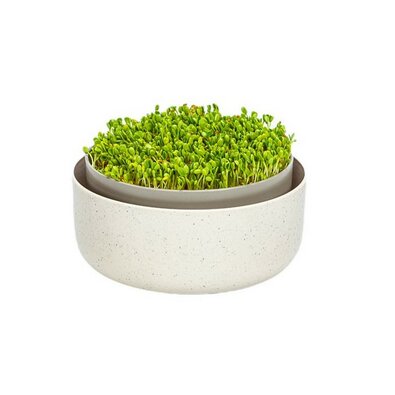 Plastia Microgreens, Elfenbein mit Kaffeesatz