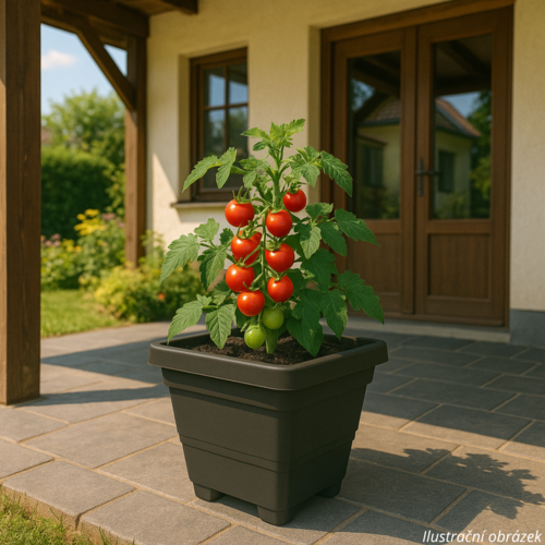 Plastia Bergamot samozavlažovací kvetináč   25 x 25 cm sivý