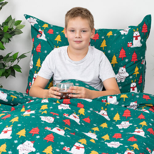 Lenjerie de pat din bumbac 4Home Polar Bear, 140 x200 cm, 70 x 90 cm