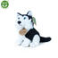 Rappa Piec pluszowy Husky 16 cm