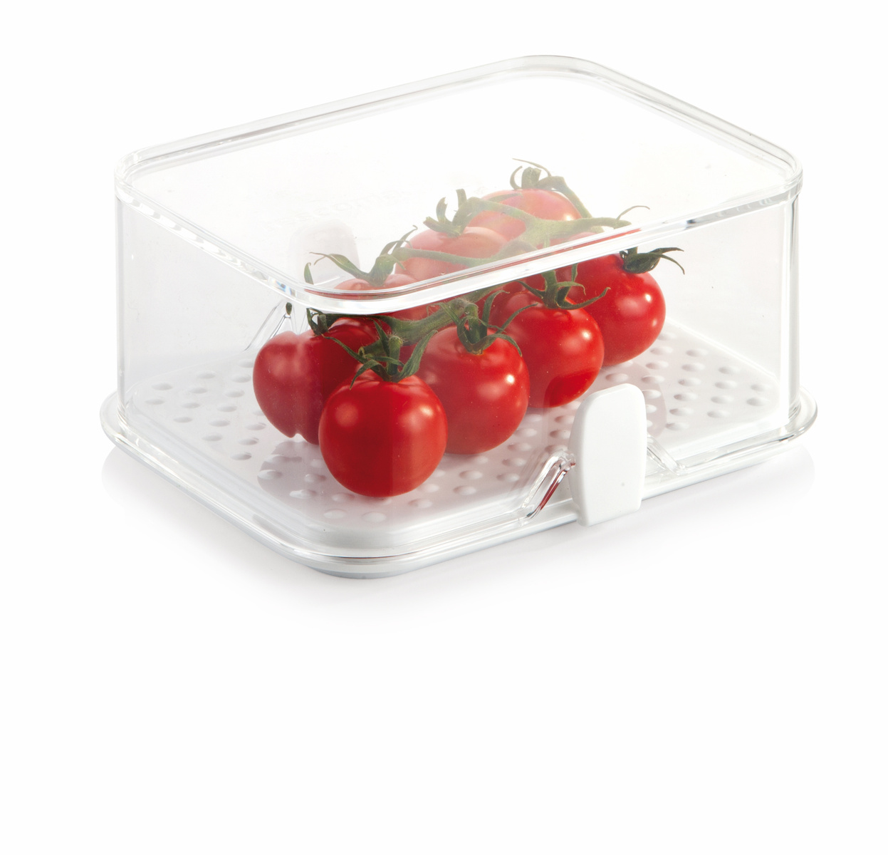 Tescoma Purity egészséges doboz hűtőszekrénybe, 14 x 11 cm