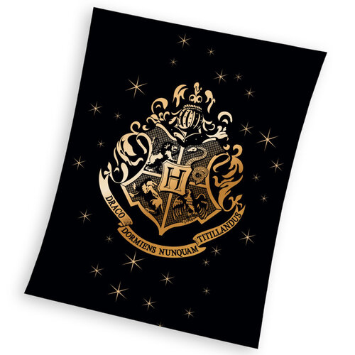 Detská deka Harry Potter Erb Bradavíc Gold, 150 x 200 cm