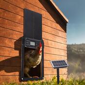 Avenberg Automatická dvířka pro kurníky Selma solar