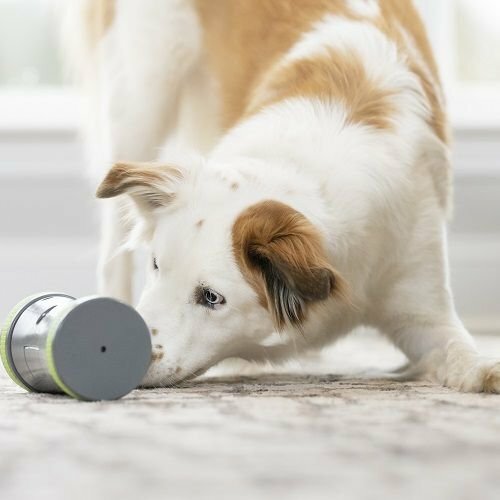 PetSafe® Kibble Chase™ Електронна іграшка длясобак