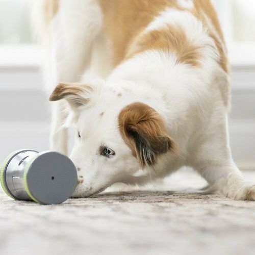 PetSafe® Kibble Chase™ Elektronická hračka pro psy