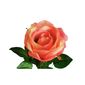 Umělá růže, růžová, 69 cm