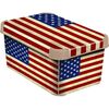 Curver AMERICAN FLAG úložný box dekorativní malý