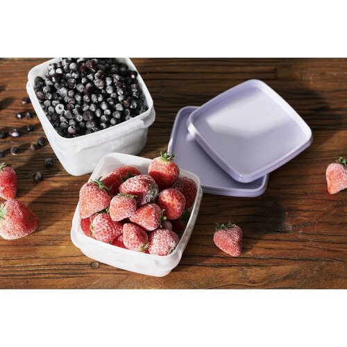 Set de recipiente SmartStore de plastic pentrucongelator 6 buc, lavanda, 300 ml