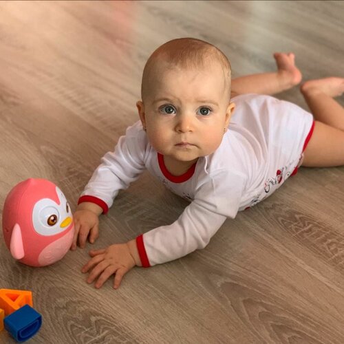 Hojdacia hračka Baby Mix Penguin ružová, 14 cm