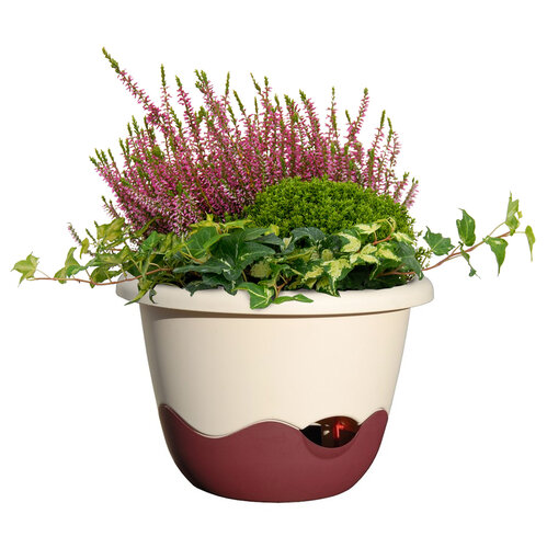 Plastia Donica samonawadniająca Mareta beżowy  + winny, śr. 30 cm