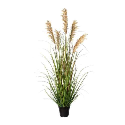 Sztuczna trawa Proso, 122 cm, zielono-brązowa