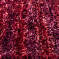 Kusový koberec Denver vínová, 50 x 80 cm