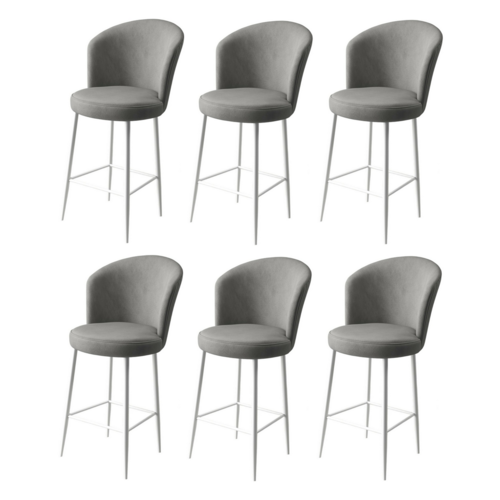 Barstuhl-Set Fora Grey and White, 6 Stück