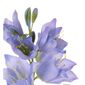 Floare artificială Bellflower albastru, 15 x 10 x71 cm