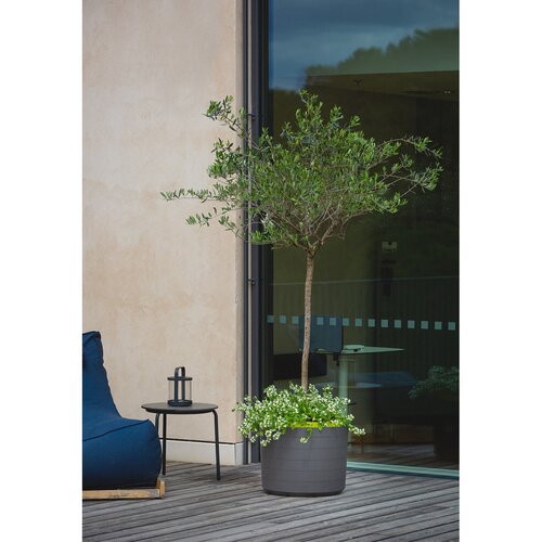 Plastia Selbstbewässernder großvolumiger Blumentopf Berberis 55, anthrazit + grün