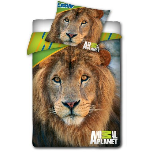 Bavlnené obliečky Animal Planet - Lev, 140 x 200 cm, 70 x 80 cm