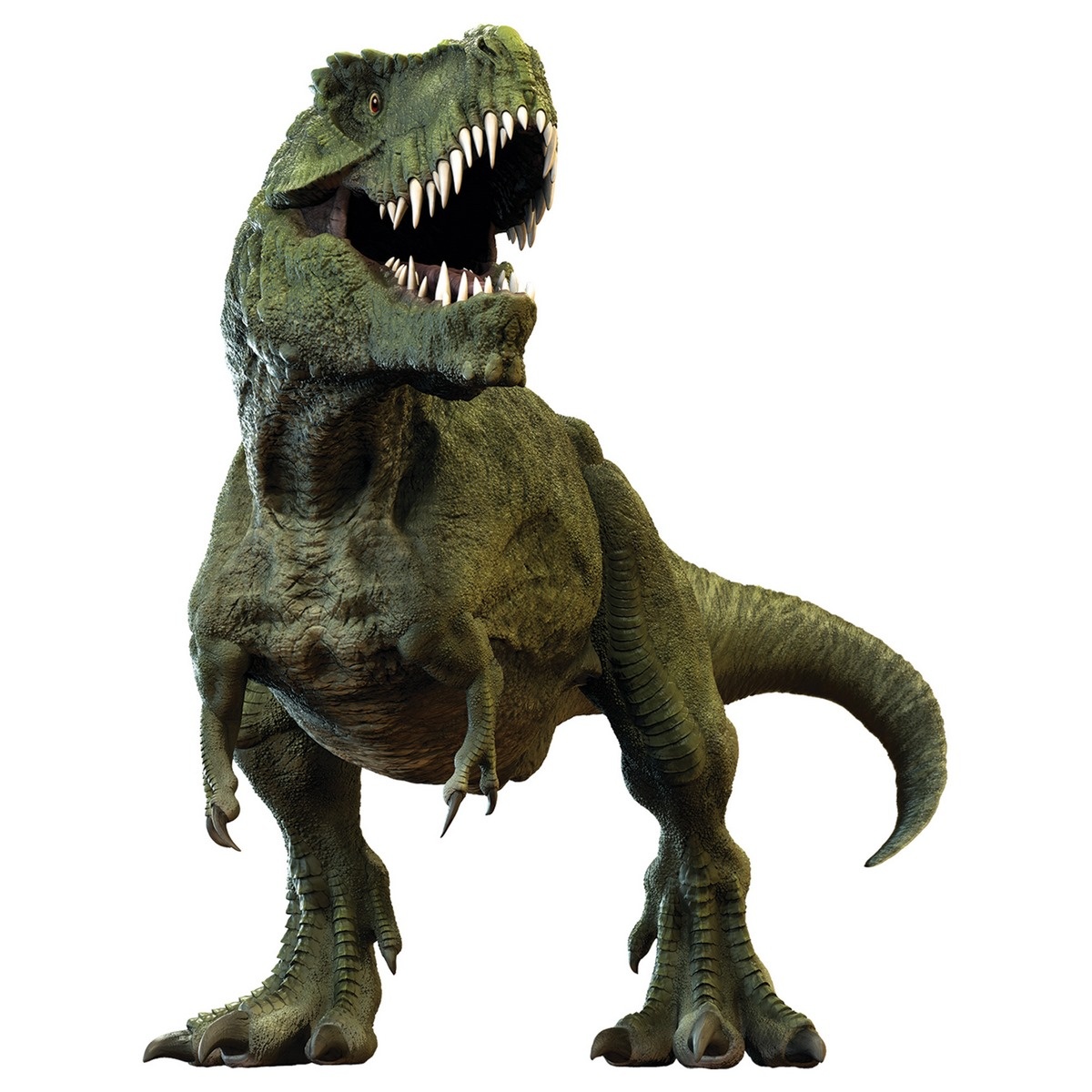 T-REX 3D matrica, 14 x 20 cm akciós termékkép 1