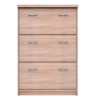 Dulap pentru pantofi TOPTY 3K tip 24, stejarSonoma